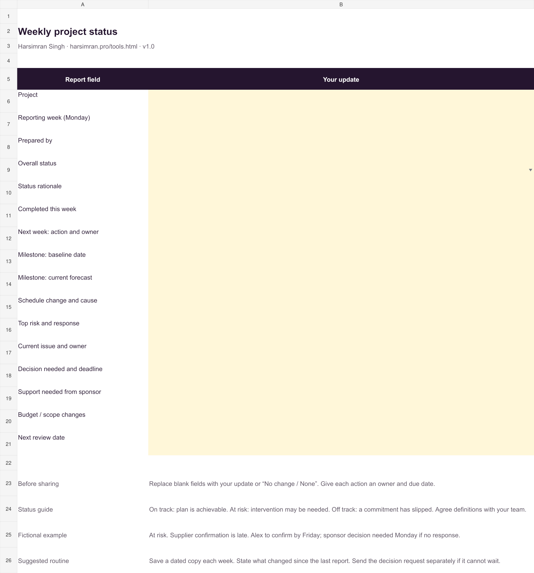 Preview of the weekly project status report spreadsheet